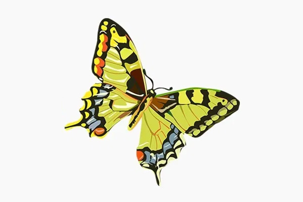 online photo restoration services, photo restoration online, photo restoration services near me