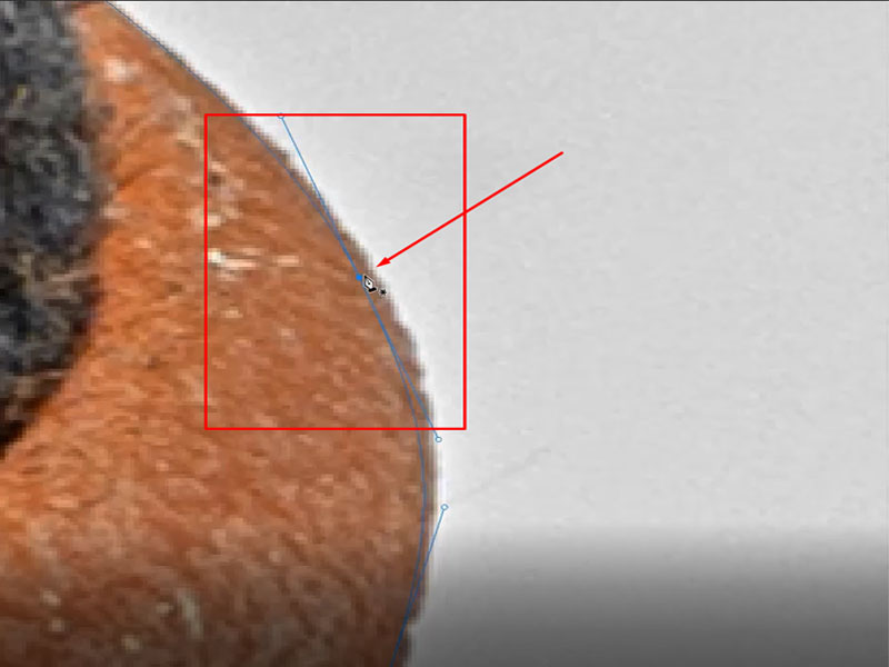 Step 5 Use Direct Select Tool to Adjust the Point