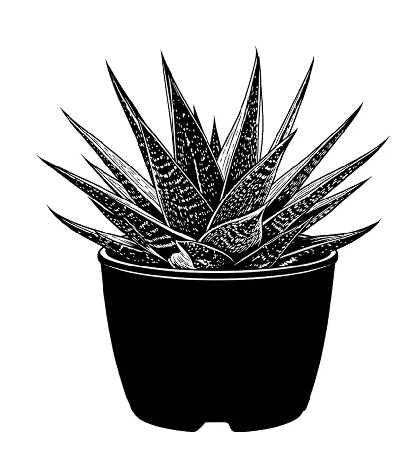 Raster to Vector Conversion, Vector Artwork